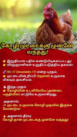 Chicken or Egg First? 🤯 Finally Answer Found | கோழியா? முட்டையா? உண்மை வெளிச்சம்!#facts #tamilshorts