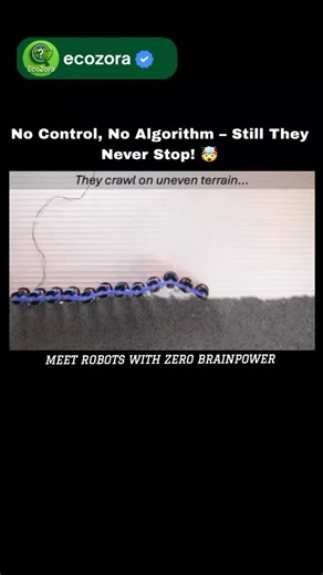 EcoZora | Science • Nature • Tech on Instagram: "Brainless “Odd” Robots Master Any Terrain — Movement Without AI or Central Control What if robots could crawl, climb, and adapt to harsh environments without a brain, software, or centralized control? Researchers from the University of Amsterdam and the University of Chicago have revealed “odd” objects that move using pure physics instead of algorithms. These simple motorized units, connected by elastic springs, respond asymmetrically to forces fr