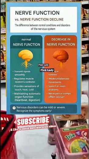 Normal Nerves vs Damaged Nerves: The SHOCKING Difference! 😱
