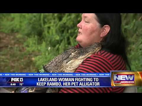 Florida woman's fight to keep alligator