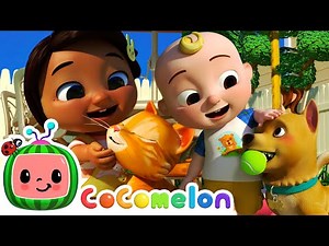 JJ's Animal Friends | CoComelon JJ's Animal Time | Animal Songs for Kids