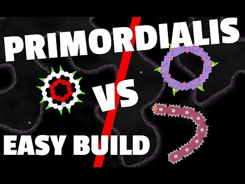 Simple OP Build | Primordialis |