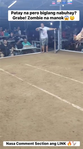 Paano nabuhay yun? 😱😲 at nanalo pa talaga yun? Anong masasabi nyo sa laban nato? Mahiwaga or sa Conditioning? | WPC Live Bakbakan 2.0