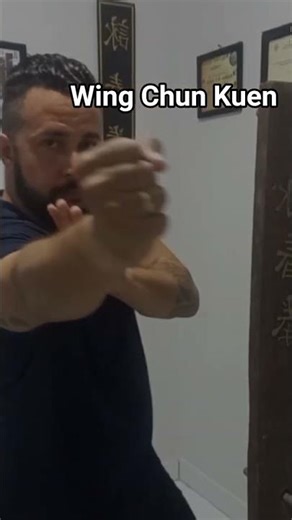 #music #kungfu #ipman #wingchun
