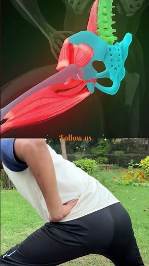 As the hip moves into internal rotation, the glute medius stabilizes the pelvis