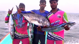 Speed Trolling Kingfish fishing & Giant Trevally Fishing | Kadal Raasa Fishing