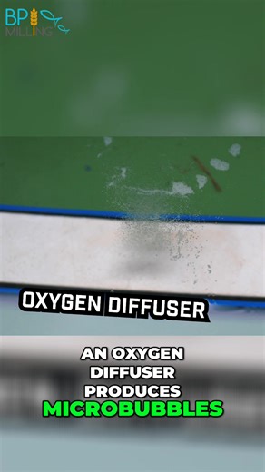 Learn how oxygen diffusers use microbubbles to keep fish alive in isolated tanks. We explore the ceramic stone and metal housing that are key to their function. #OxygenDiffuser #FishTank #Aquarium #FishKeeping #Microbubbles #Aquaculture #FishHealth #DIYAquarium #Oxygenation #PetCare | BP Milling - Sustainable Aquafeed Alternatives