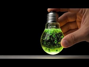 This Light Bulb Should NOT Do This