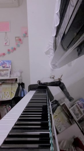 Dreamcore Music: Piano Covers and Performances Compilation