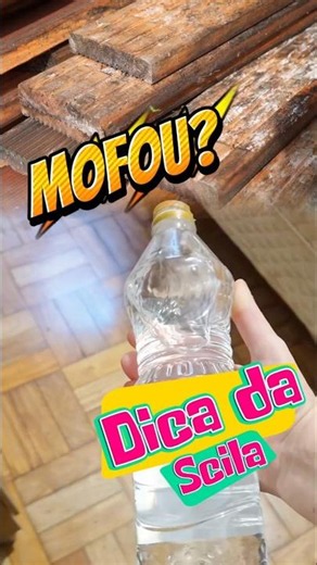 MOLD? USE THIS TO GET RID OF THAT MUSTY SMELL! #mold #cleaning #howtoremovemold #shorts #cleaning...