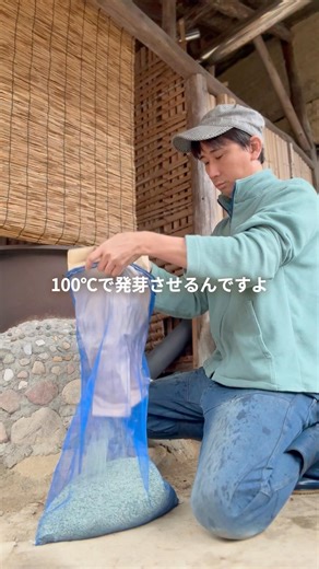 お米の種は100℃で発芽させるんです🌱🌾 #農的暮らし #農業 #田舎暮らし #脱サラ農業
