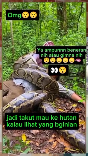 Omg 😱😱 #viral #ularpython | Michelle Nur