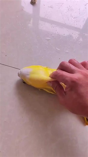 Amazing Facts That Will Blow Your Mind