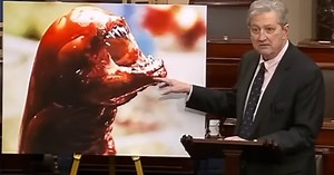 Sen. John Kennedy compares radioactive imported shrimp to 'Alien' monster: 'It will kill you'