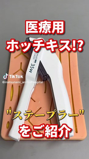 医療用のホッチキスご紹介！#ホッチキス #ステープラー #医療用 #松波動物病院 #外科医