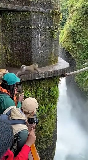 Invoice header: *** Inc.#