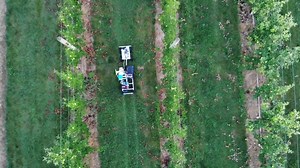 Agriculture industry looks to new technology to raise, harvest Florida crops