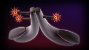 What are Antibody-drug Conjugates? » ADC Review