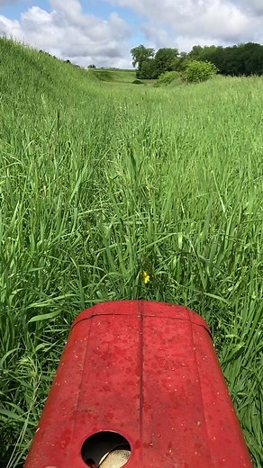 Wheel Horse Lawn Ranger: Efficient Grass Mowing