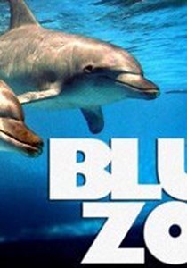 Blue Zoo Season 1 - watch full episodes streaming online