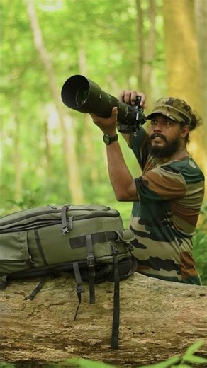 Wildlife Photography Shorts | Birds Photography | Photographer | Nature Photography | #wildlife |