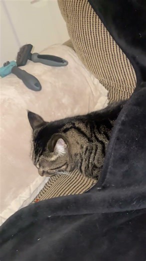 Autumn is cuddling under a soft blanket