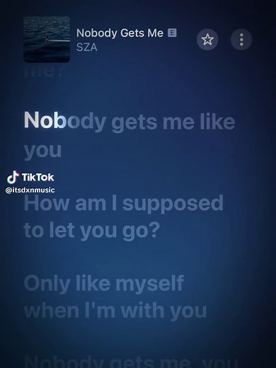 Nobody Gets Me Lyrics by SZA