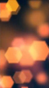 #50 ✨ ショパン ピアノ名曲集 ｜ 心癒されるクラシック傑作コレクション