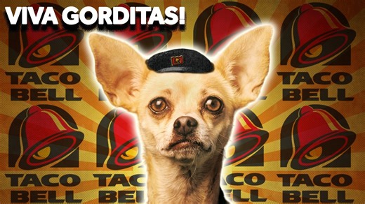 Do you remember the Taco Bell Chihuahua commercials? Ever wonder what happened to him? | Weird History Video