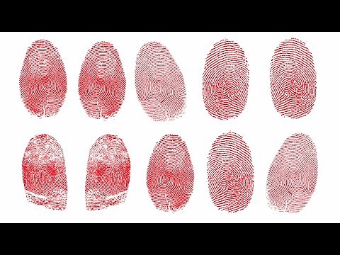 Individual Characteristics of Fingerprints