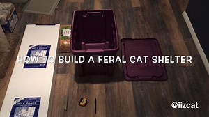 It's getting cold out there! Check out how to build a feral cat shelter to keep them warm and safe. (Minnie tested and approved :) ) | I iz cat
