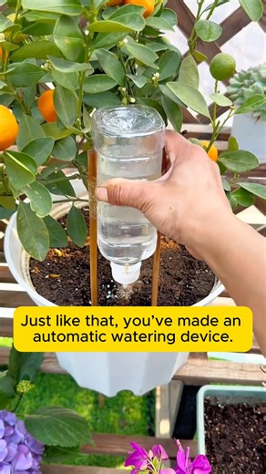 DIY automatic watering tools #cooltools #satisfying #gardeners #gardeninspiration #gardening #trees | Daily Garden Life