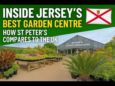 Exotic Plant Hunt at St Peter’s Jersey — Better Than the UK?