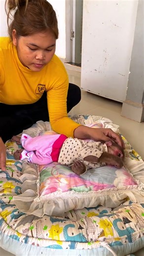 Mom take care baby #monkeysr #babyanimal #nature