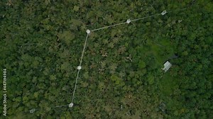 The longest canopy walkway in Africa with nature and wildlife conservation in lekki