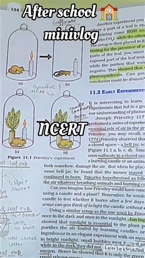 After school minivlog 🏫||Study vlog #study #vlog #studymotivation #motivation #class11 #nexttoppers