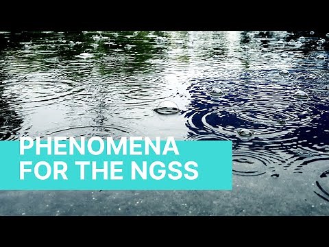 Science Phenomena For Your NGSS Storylines