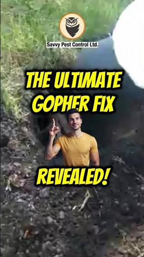 🐾💡 Stop Gophers the Proven Way | Getting Rid of Gophers | Edmonton Pest Control