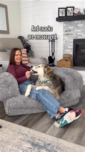 Champ & Tyson on Instagram: "The Lesure 3-in-1 Human Dog Bed, created for humans, immediately claimed by dogs. @lesurepet #LesureHumanDogBed #LesurePartner #dogs #huskies #goldenretriever #goberian #goberiansofinstagram #siberianhusky #funnydogs"