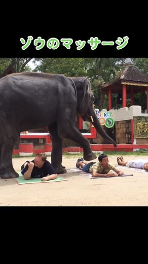 昔の動画シリーズ✨タイにて^_^#ワッキー #お笑い #comedy #face #wacky #Thailand