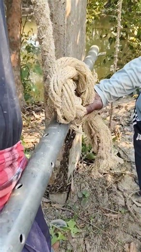 ab cabile singing. #440volt