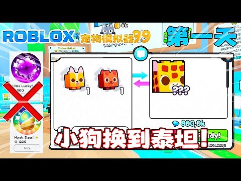 ROBLOX 宠物模拟器99 “小狗换到泰坦Day1“ 无克金新手获得大宠的方法! 直接获得了800k钻石！获得Huge的方法！新手教学 技巧