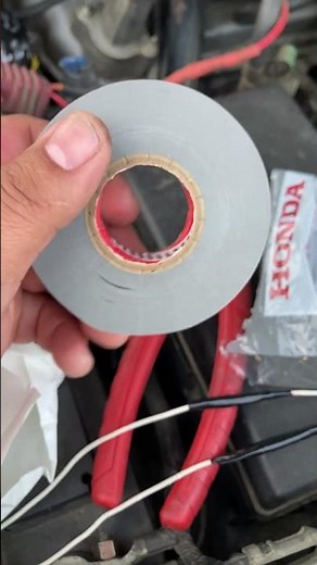 STOP RODENTS CHEWING UP WIRES! #rats #carwire #soy #tesla