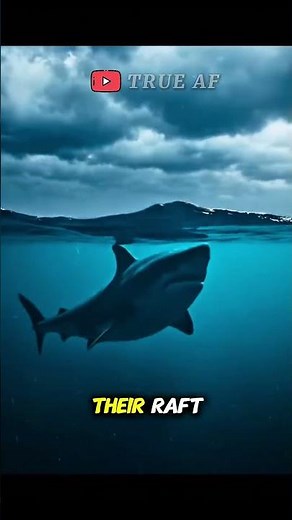 47 Days Lost at Sea 🌊 The Unbelievable True Survival Story |#truestories #stories #ocean #trueaf