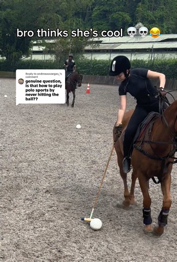 Exploring Polo: The Equestrian Sport Experience