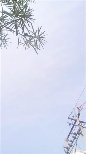 🥰🥰🥰🤣🤣🤣