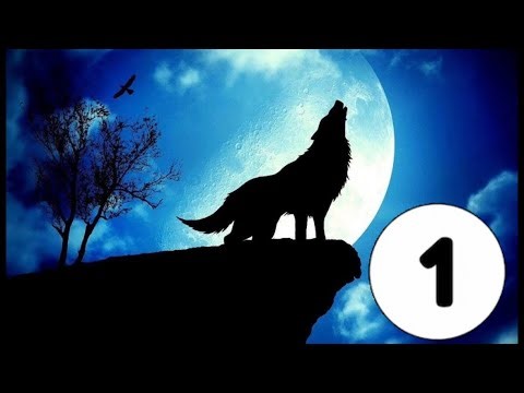 realistic hood testing in the hood -the lore begins-