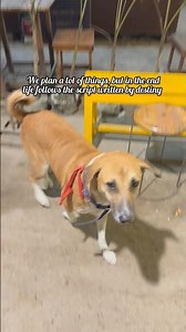 We plan a lot of things, but in the end life follows script written by destiny #life #shorts #viral