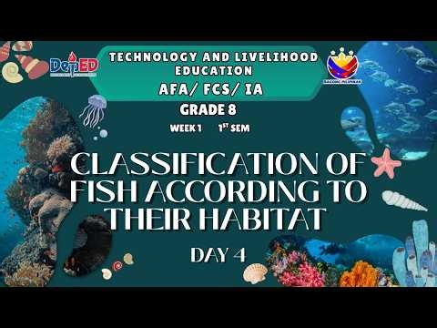 TLE 8, Term 1, Week 1, Day 4