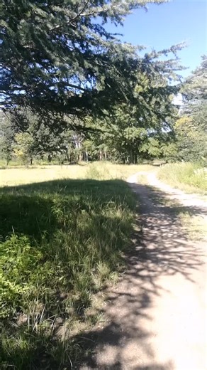 I'm out hunting while listening to @Isaiah Saldivar sermon